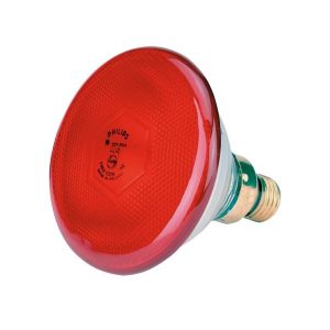 Infrarot-Sparlampe 100 W