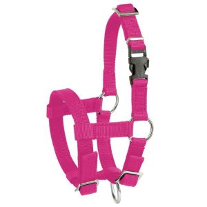 Alpaka-Halfter Pink